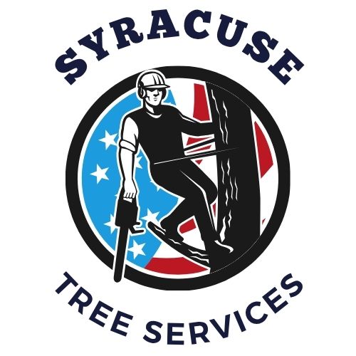 OnTheDot Syracuse Tree Services